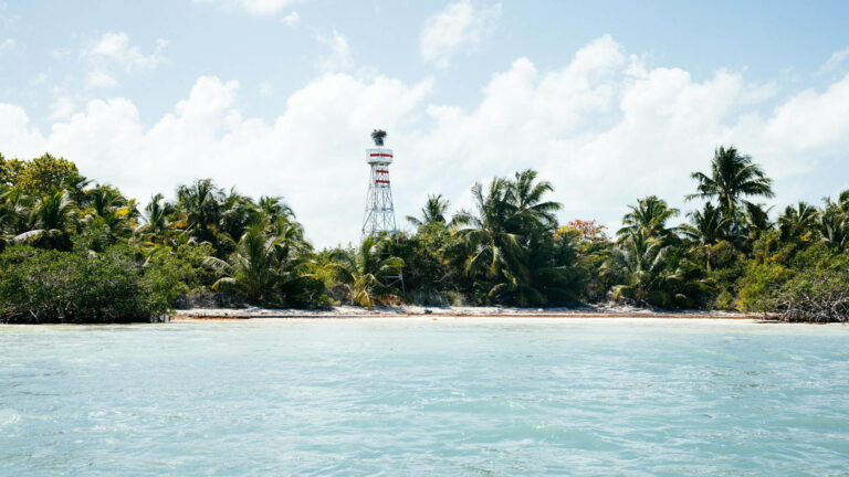 The shoreline of Ascension Bay, Mexico.