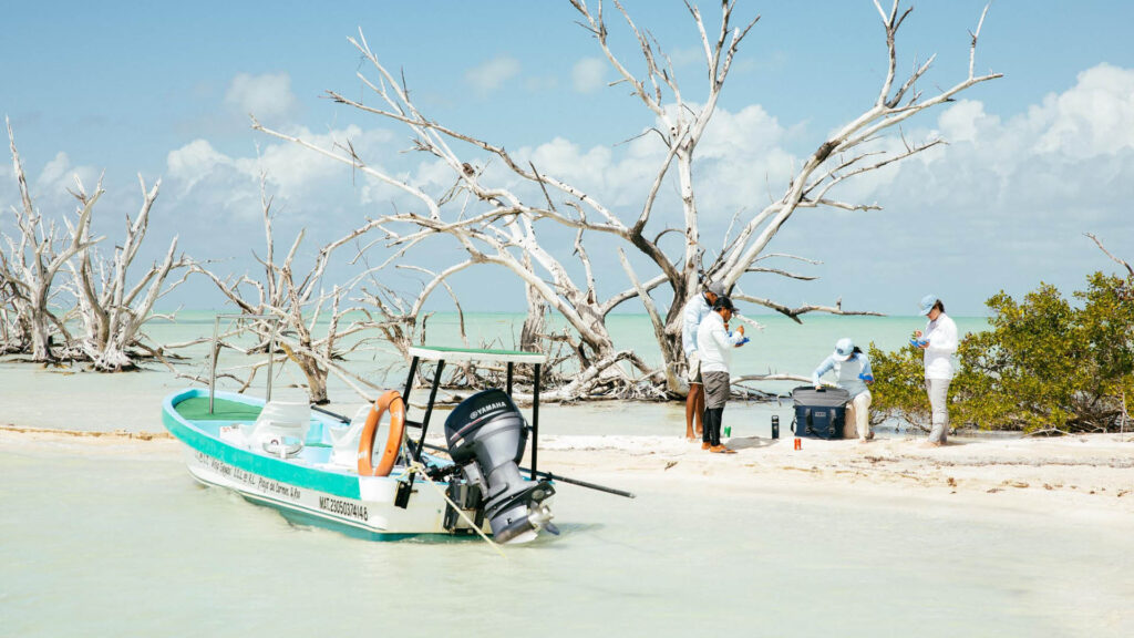 Fly fishermen on the beach of Ascension Bay having lunch from their cooler with their panga in the foreground.