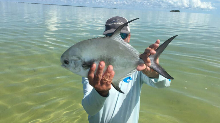 An inshore fly fishermen catches a permit in Ascension Bay, Mexico.